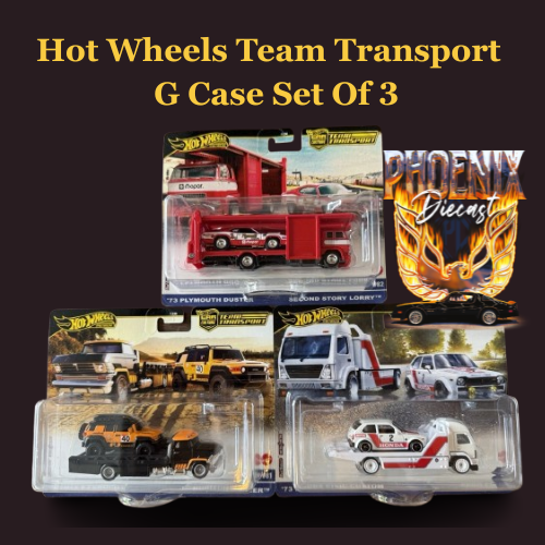 Hot Wheels Team Transport G case Set Of 3