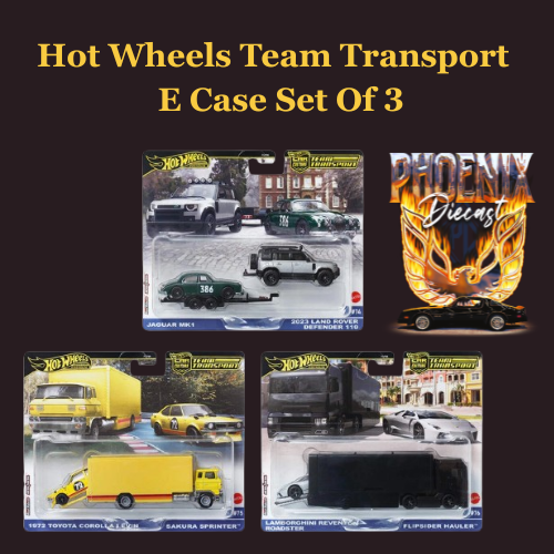 Hot Wheels Team Transport E case Set Of 3