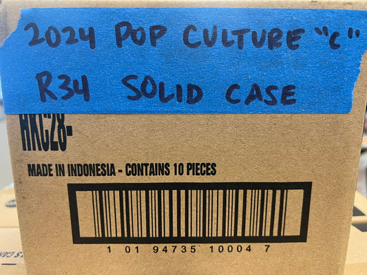 Hot Wheels 2024 Pop Culture Nissan Skyline R34 (FULL CASE)